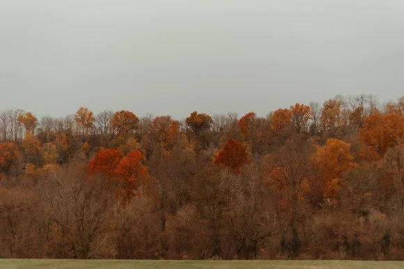 Shutter & Bloom Photo Co -40.jpg