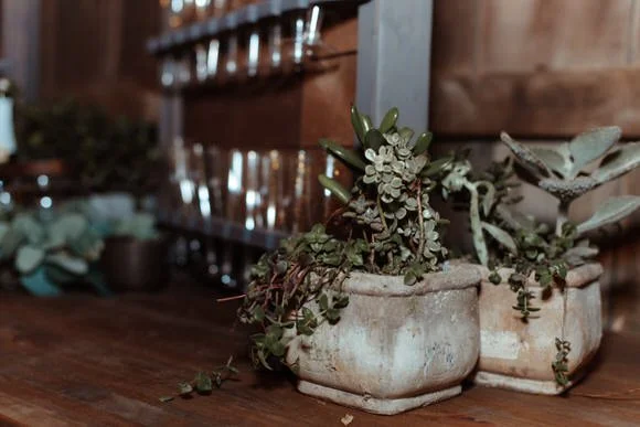 Shutter & Bloom Photo Co -67 (1).jpg