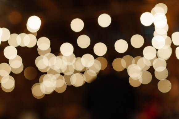 Shutter & Bloom Photo Co -302.jpg