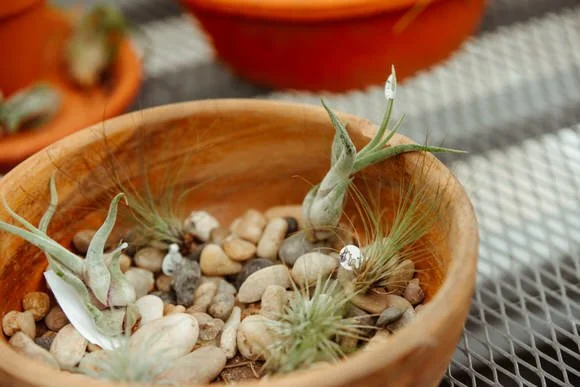 Shutter & Bloom Photo Co -5.jpg