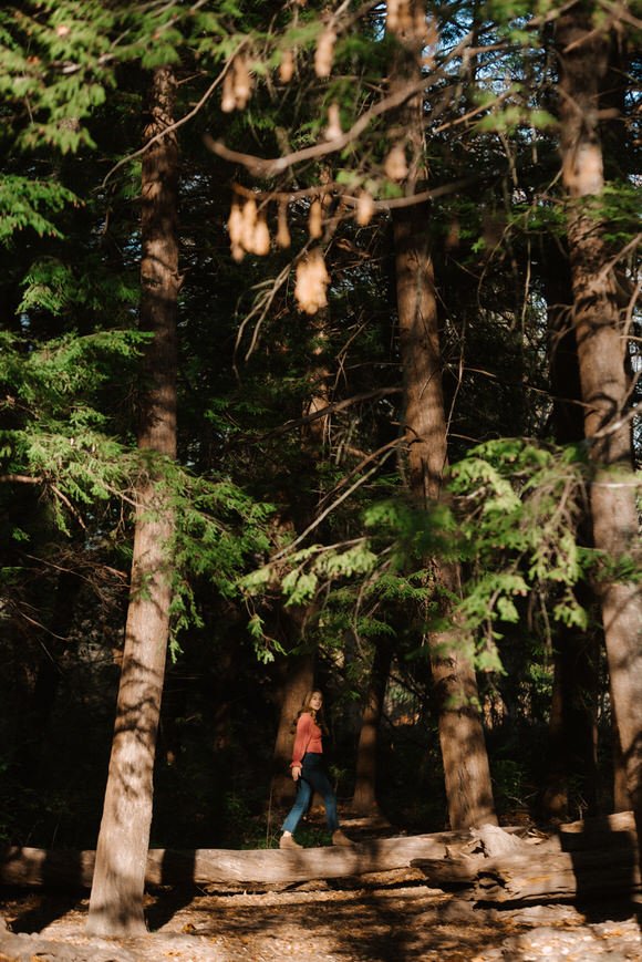 SHUTTER & BLOOM-176.jpg