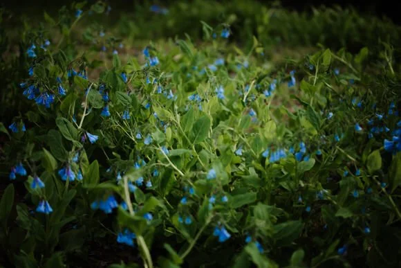 Shutter&BloomPhotoCo-224 (2).jpg