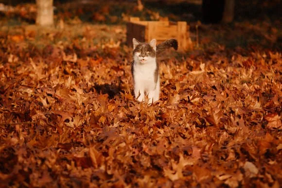 Shutter&BloomPhotoCo-319 (1).jpg