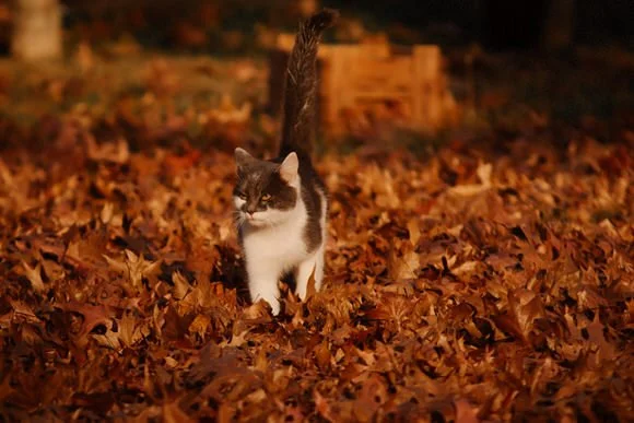 Shutter&BloomPhotoCo-320 (1).jpg