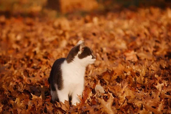 Shutter&BloomPhotoCo-324 (1).jpg