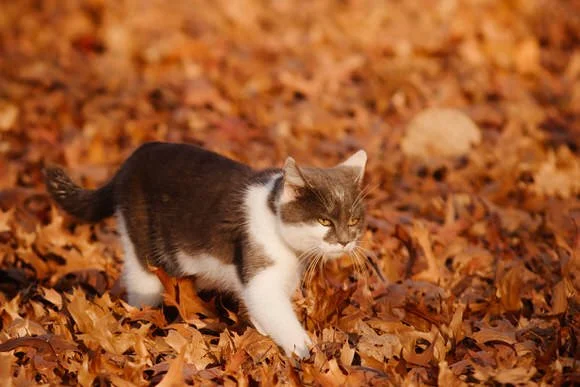 Shutter&BloomPhotoCo-326 (1).jpg