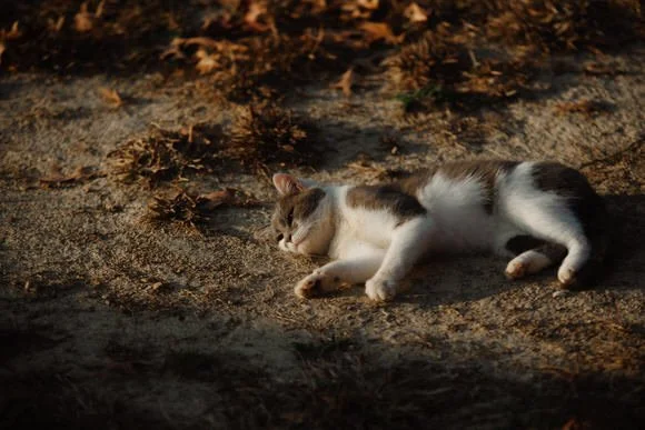 Shutter&BloomPhotoCo-355 (1).jpg