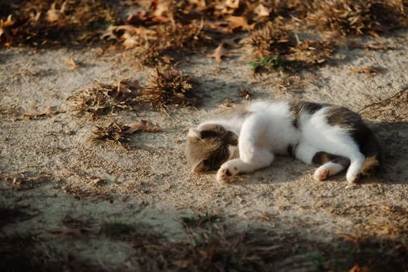 Shutter&BloomPhotoCo-356 (1).jpg