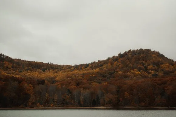 Shutter&BloomPhotoCo-252 (1).jpg