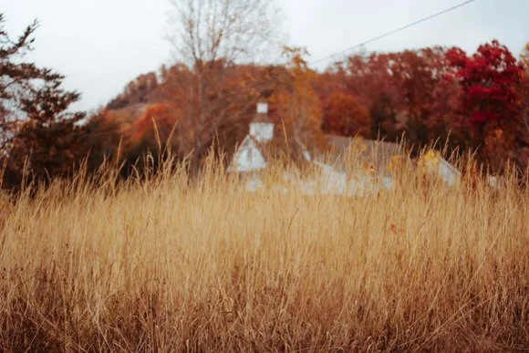 Shutter&BloomPhotoCo-156 (3).jpg