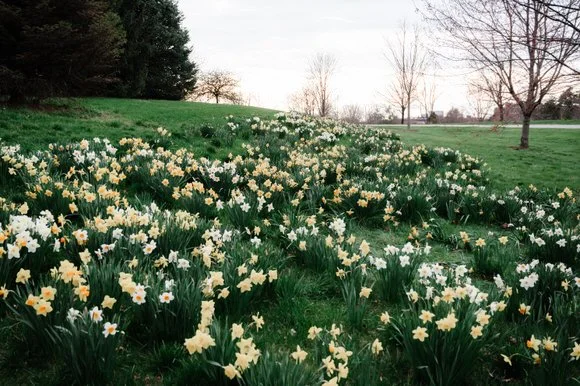 Shutter&BloomPhotoCo-323 (1).jpg