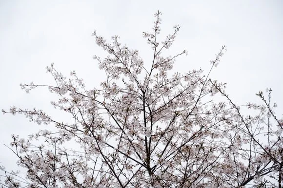 Shutter&BloomPhotoCo-151 (1).jpg