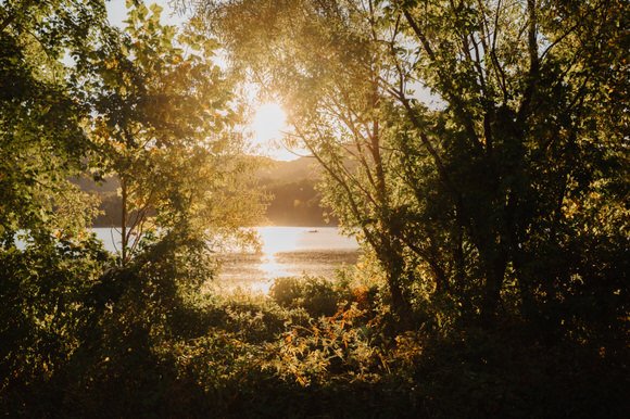 Shutter&BloomPhotoCo (266 of 468).jpg