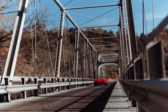 Shutter & Bloom Photo Co -7.jpg