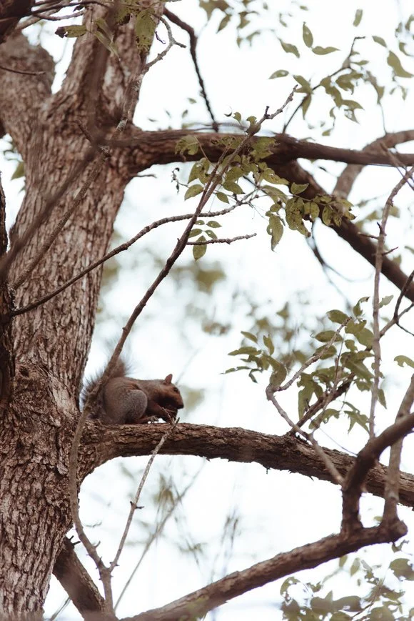 Shutter & Bloom Photo Co -229.jpg