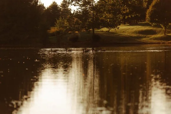 Shutter & Bloom Photo Co -134 (1).jpg