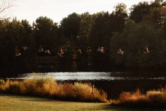 Shutter & Bloom Photo Co -189.jpg