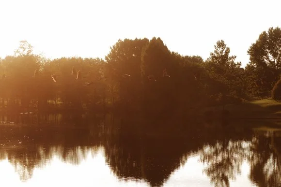 Shutter & Bloom Photo Co -193 (1).jpg