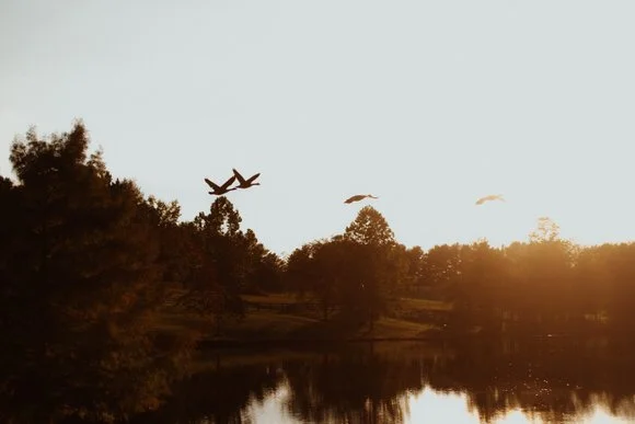 Shutter & Bloom Photo Co -196 (1).jpg