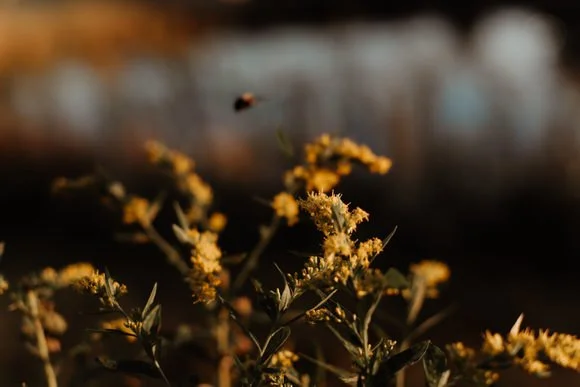 Shutter & Bloom Photo Co -323.jpg