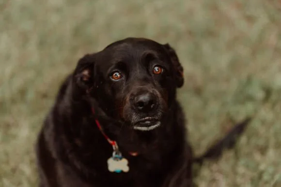 Shutter & Bloom Photo Co -377.jpg