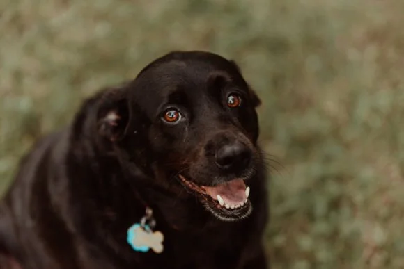 Shutter & Bloom Photo Co -381.jpg