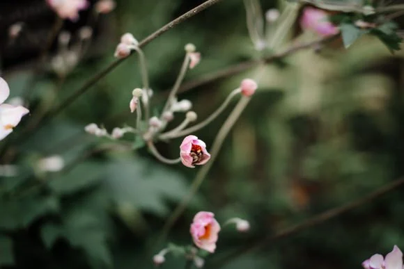 Shutter & Bloom Photo Co -262.jpg