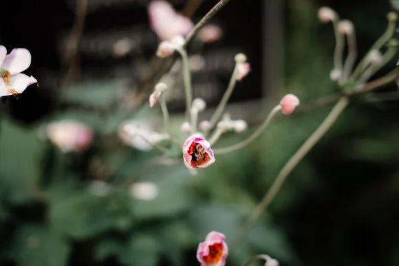 Shutter & Bloom Photo Co -263.jpg