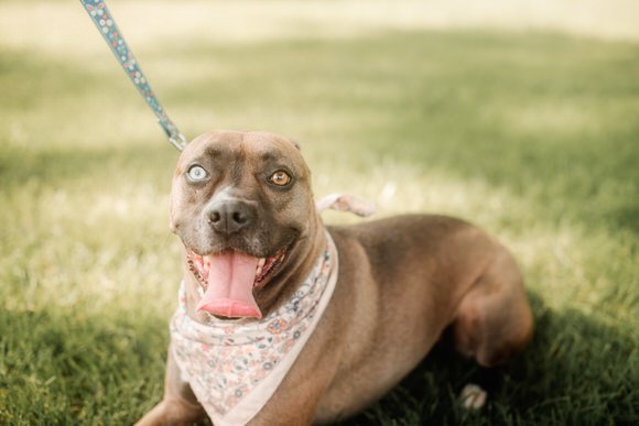 SHUTTER & BLOOM (183 of 269).JPG