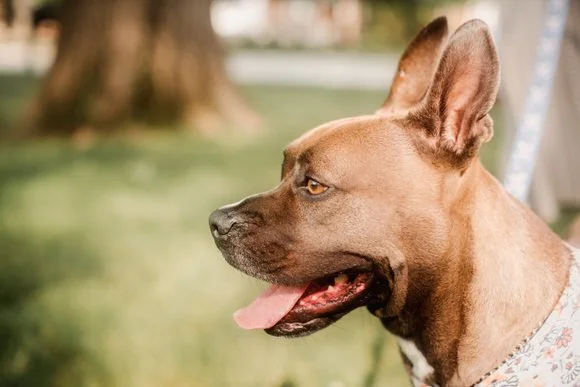 SHUTTER & BLOOM (191 of 269).JPG