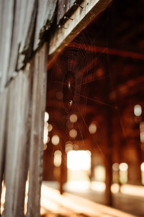 Shutter & Bloom Photo Co -107.jpg