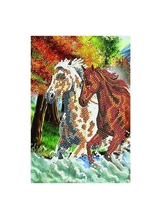 CA Notebook Kit: Wild Horses