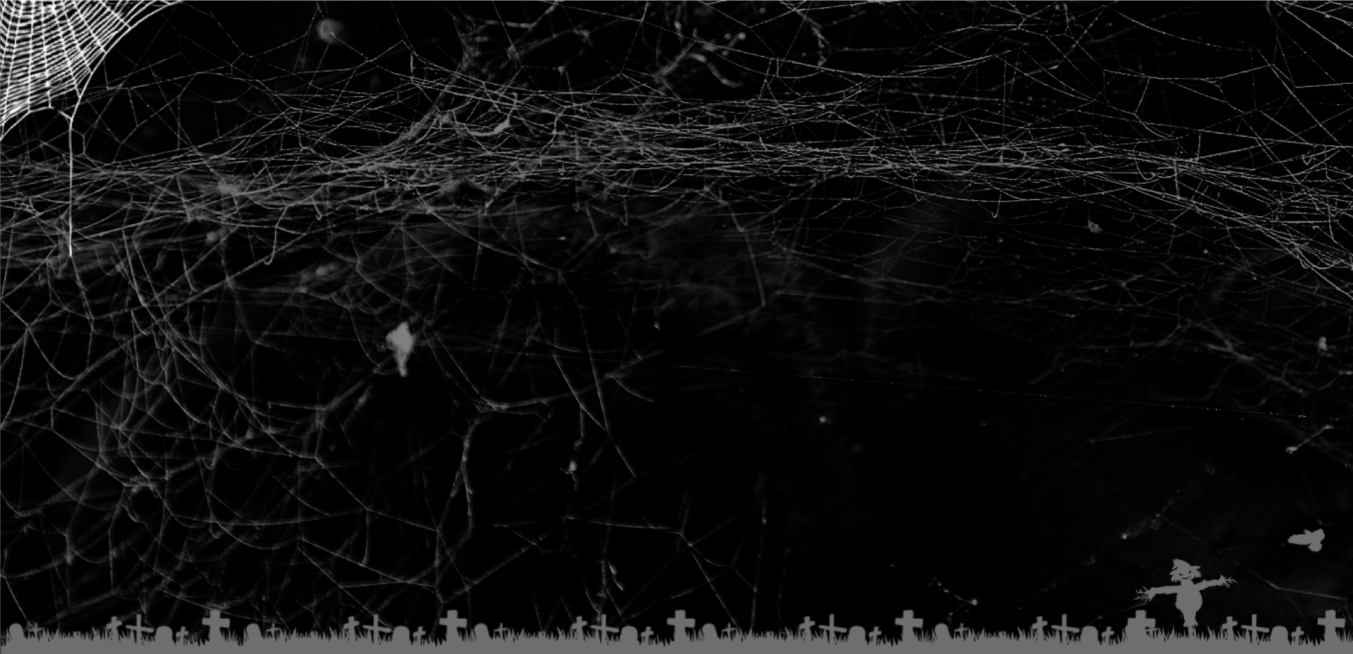 banner-2.png