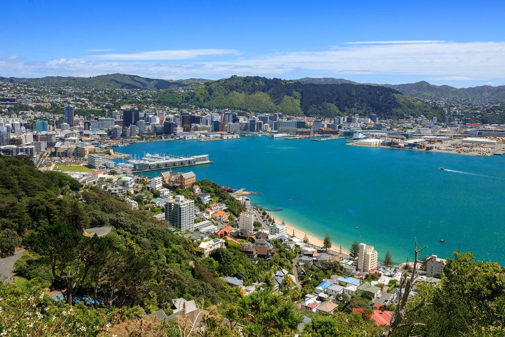 view-of-wellington-harbour-2.jpg