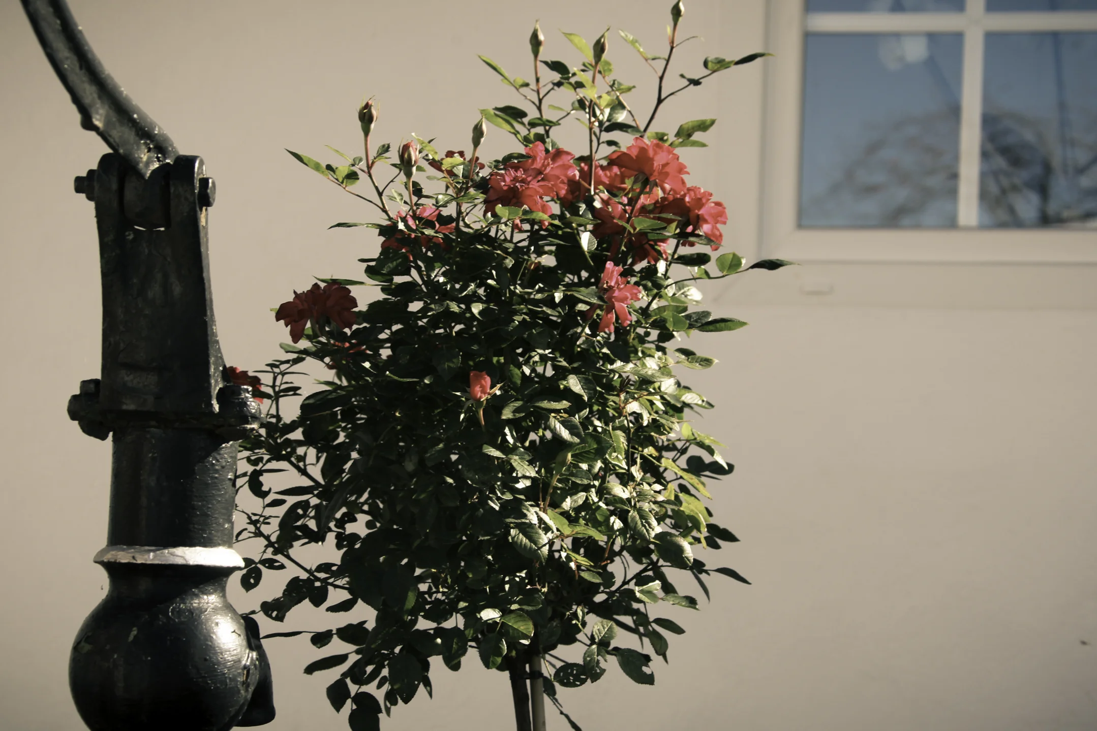 Lightroom_a-212.jpg