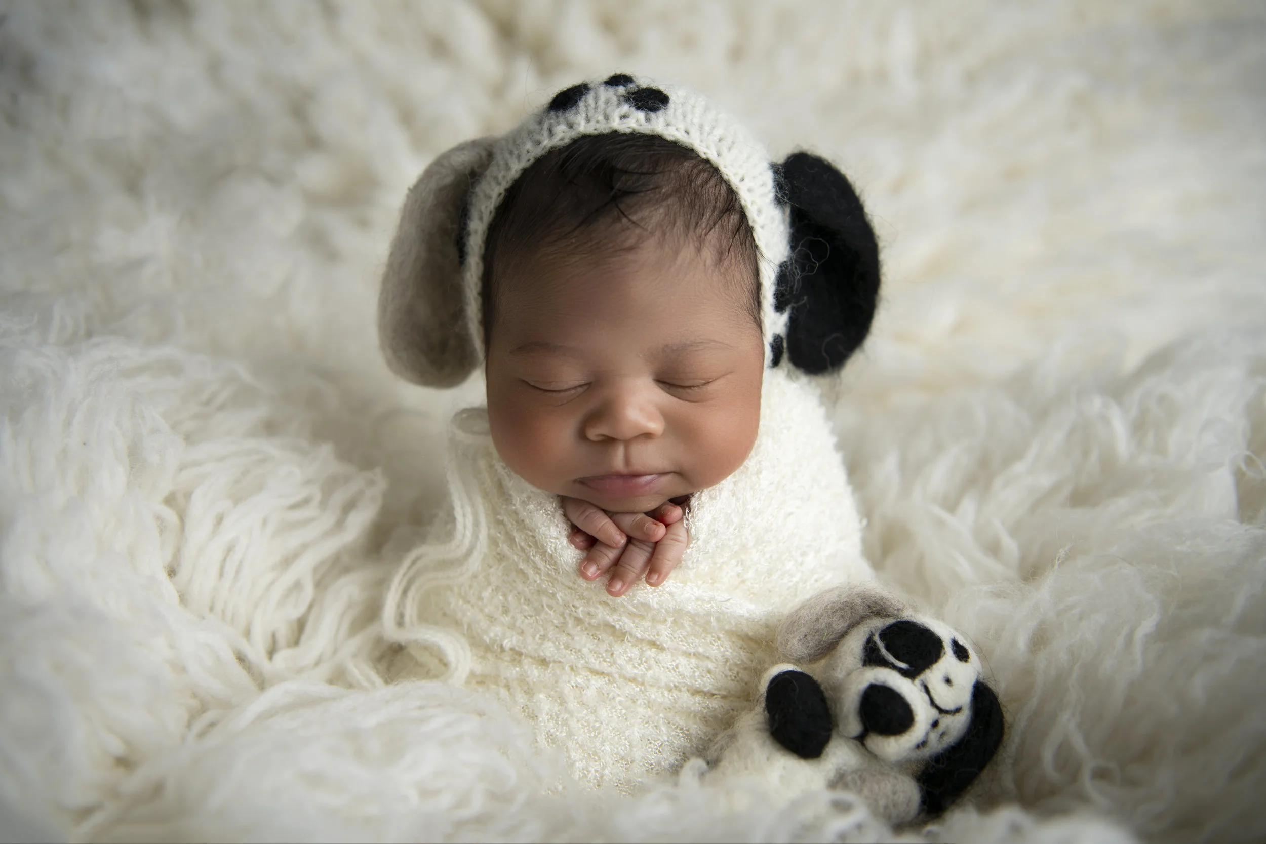 Newborn Photographer