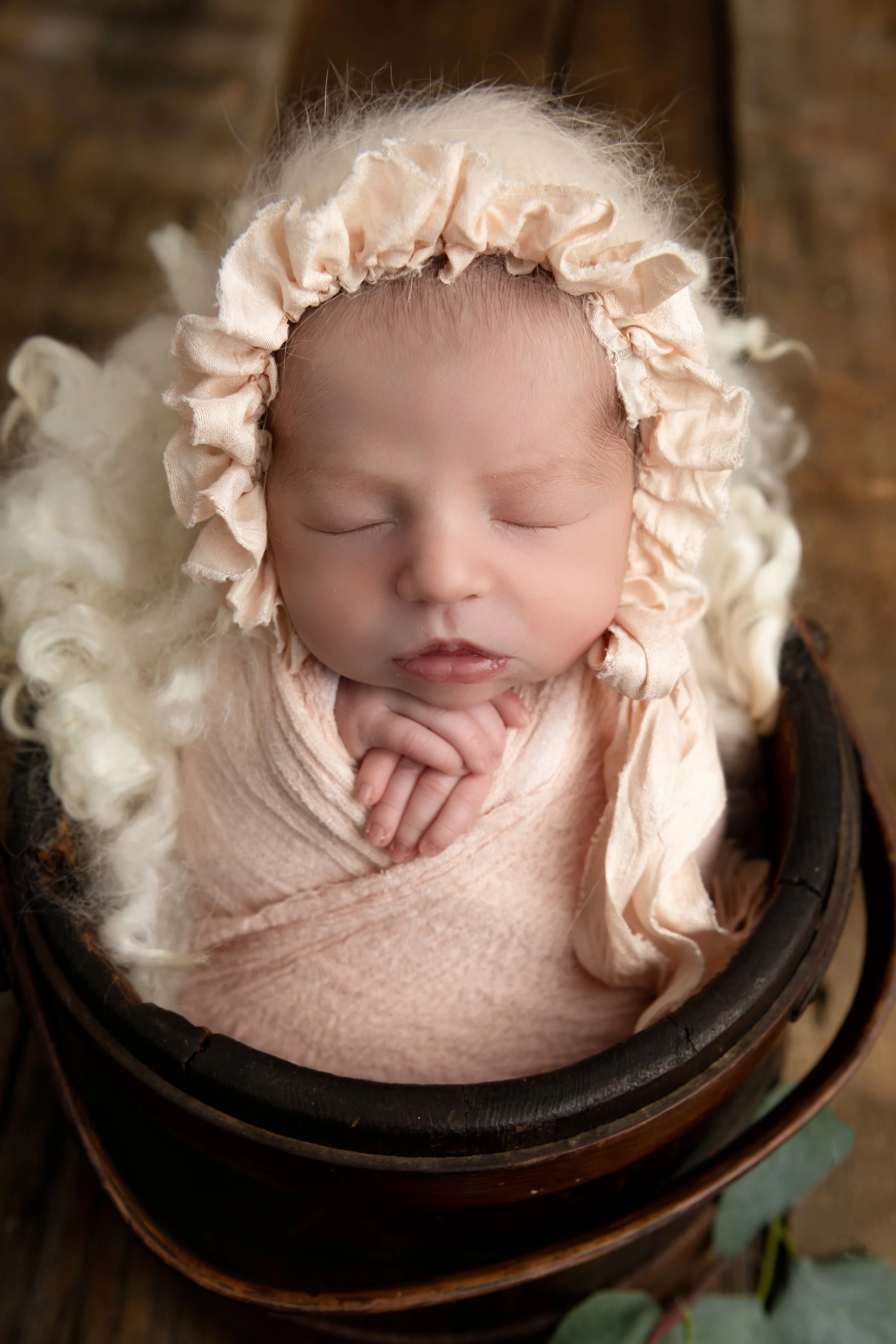Serafina_9351.JPG