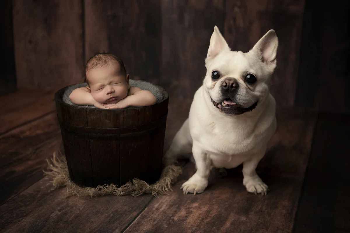 REBEKAH ANNE PHOTOGRAPHY | TORONTO NEWBORN PHOTOGRAPHER | BABY ARIS