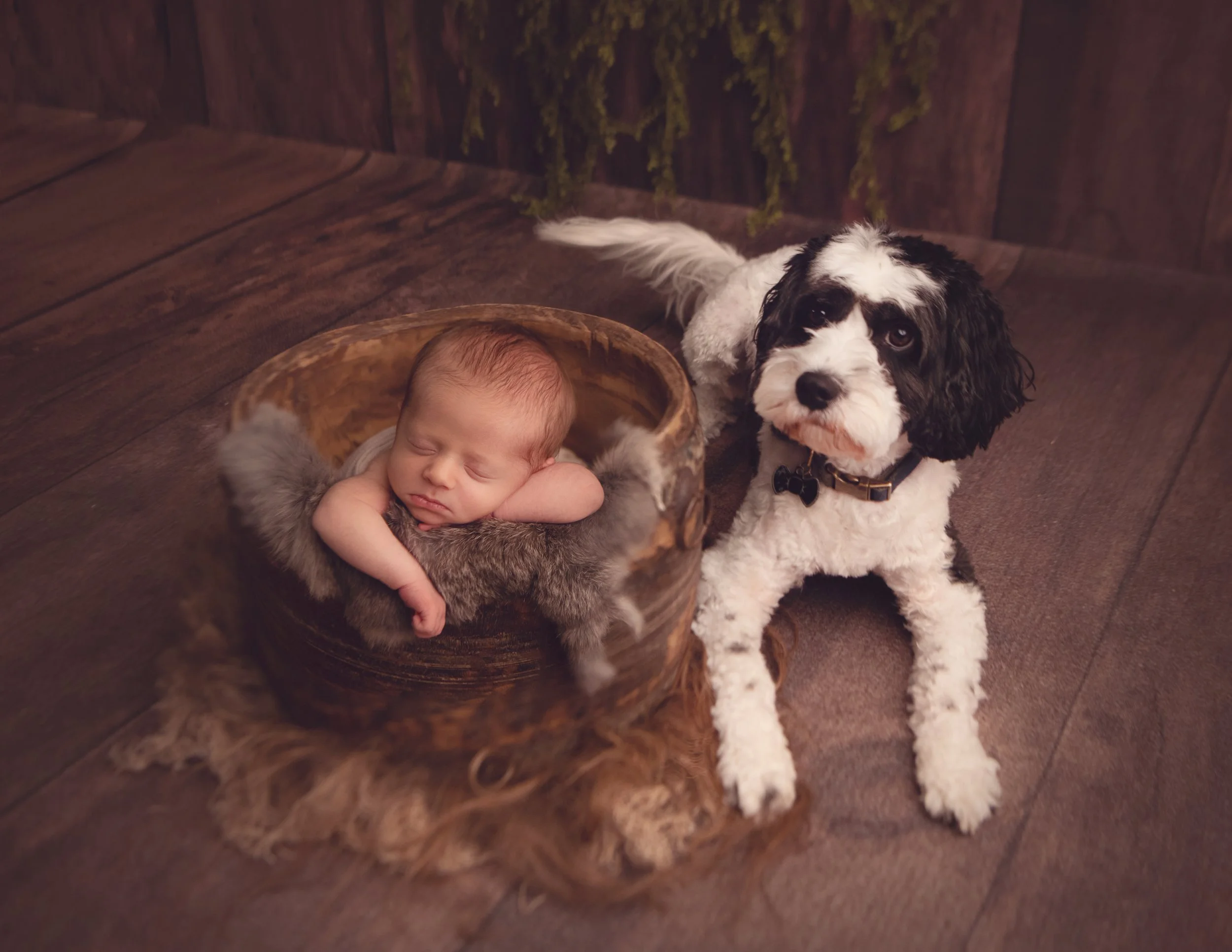 Rebekah Anne Photography | Mississauga Newborn Photographer | Baby Luca