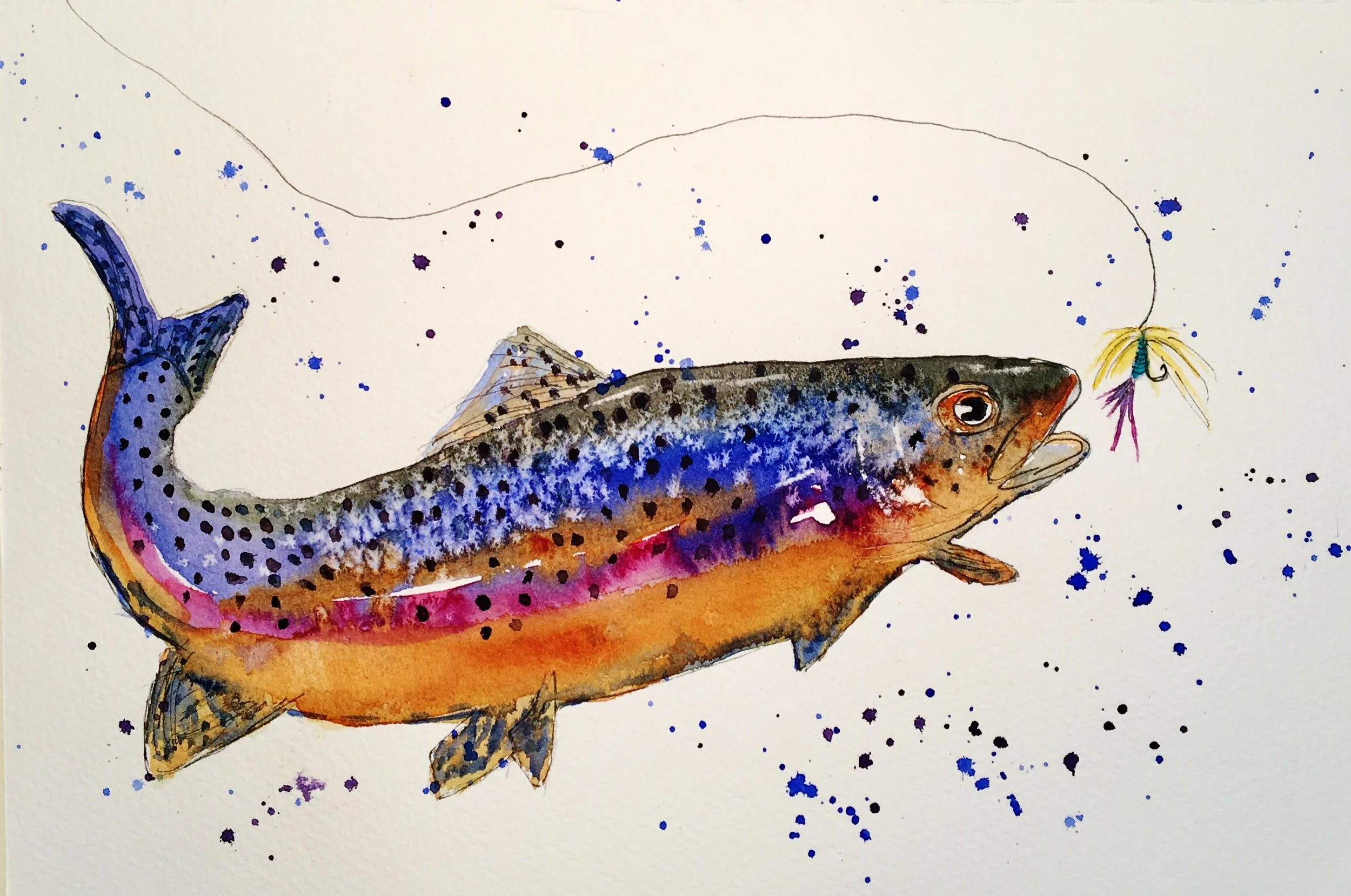Blue rainbow trout with lure and splash.jpg