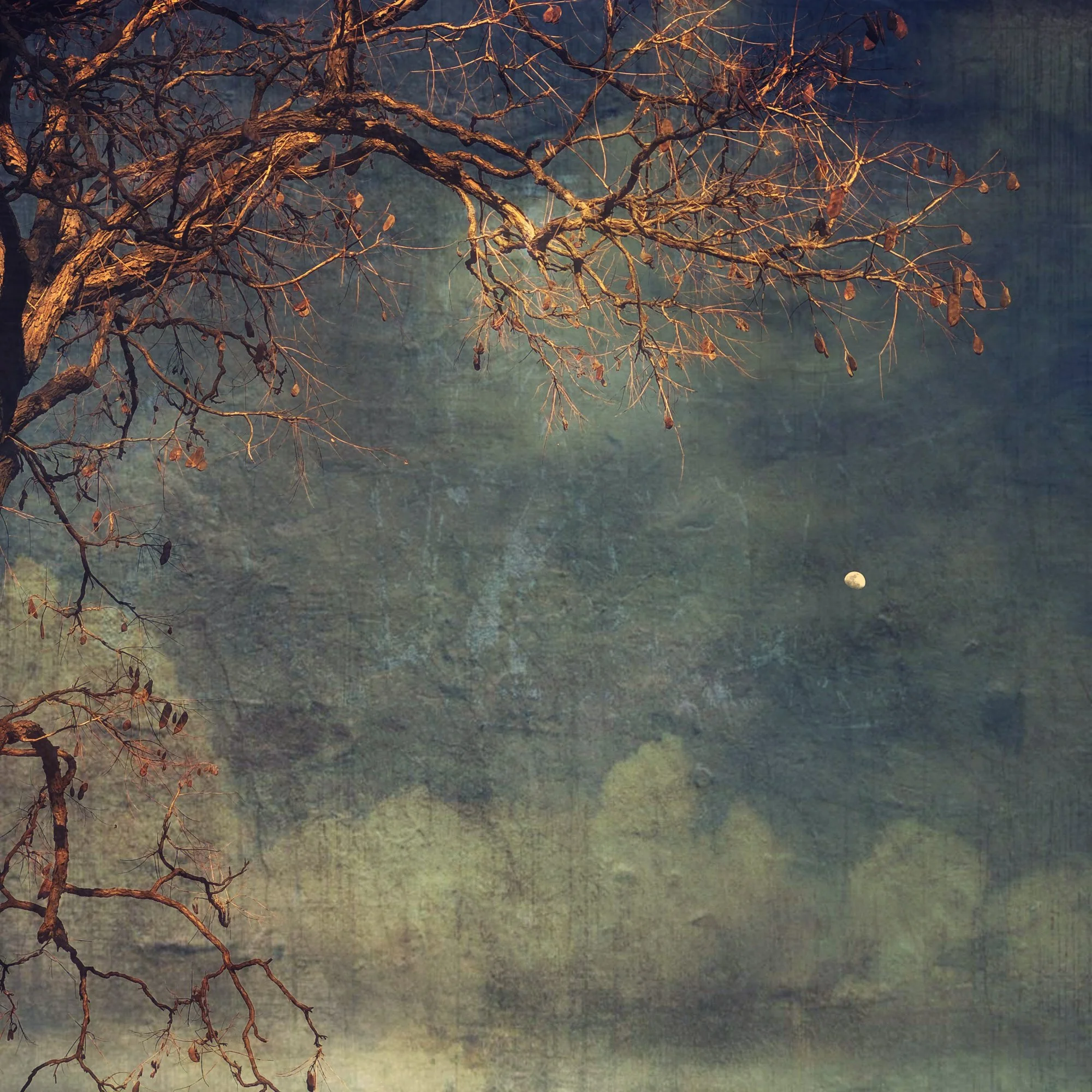 wendi-schneider-medium-moonglow-19.75 x 19.5 framed-pigment ink on kozo over white gold leaf.jpg
