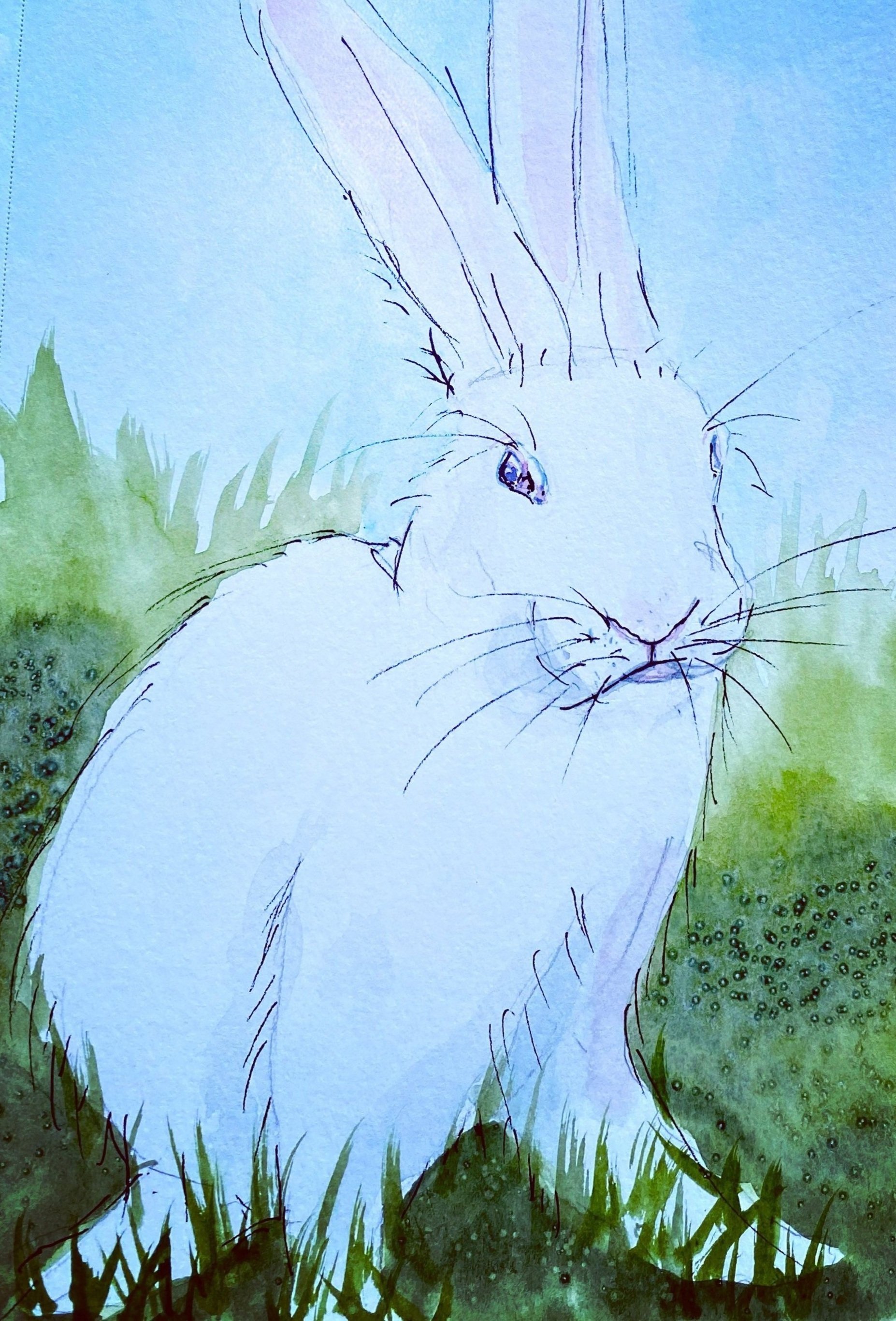 Rabbit image for March.jpg