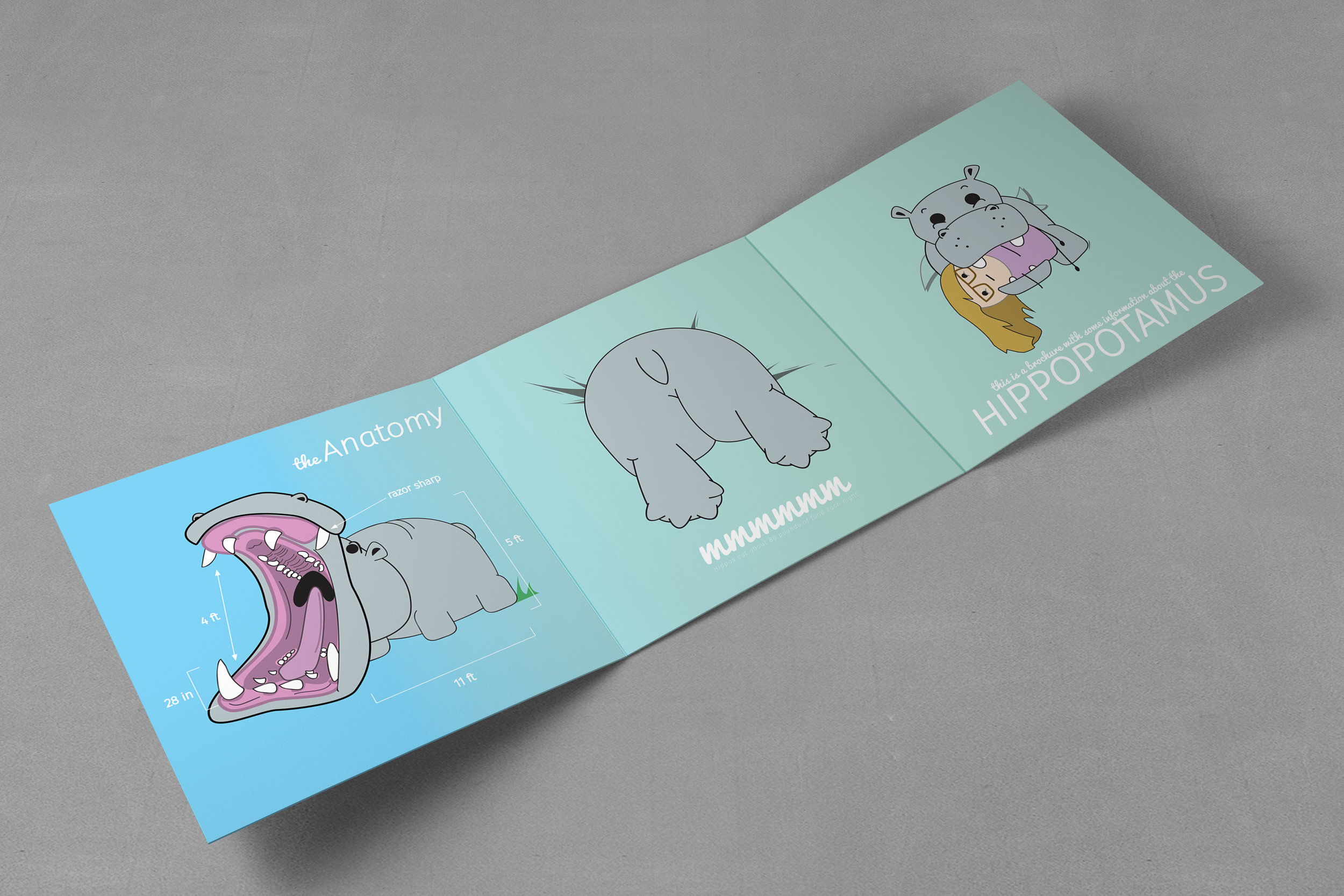 HippoBrochure_Mockup_BACK2.jpg