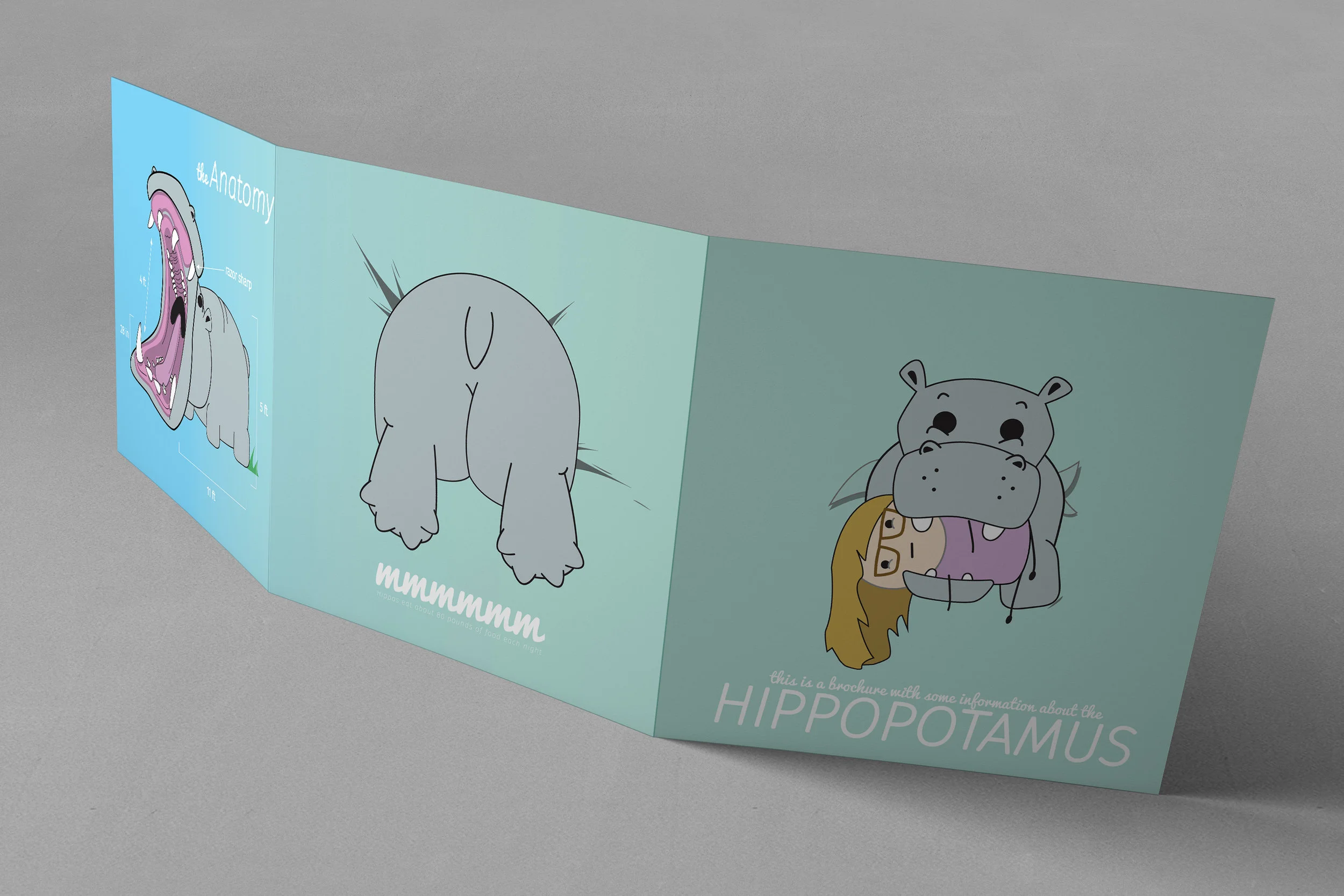 HippoBrochure_Mockup_BACK.jpg