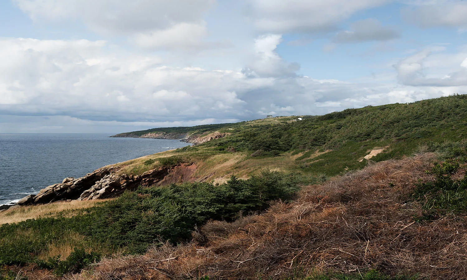 Near Cap Le Moine, Cabot Trail, Nova Scotia