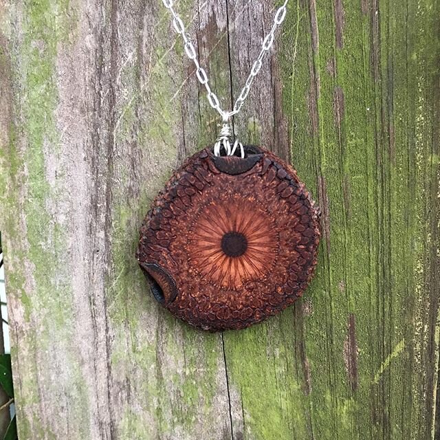 Help me help Australia!! This beautiful Banksia pod slice necklace is for sale for $50! Half of the sale price will go to the firefighters still battling the raging fires in New South Wales and Victoria! DM for purchase.