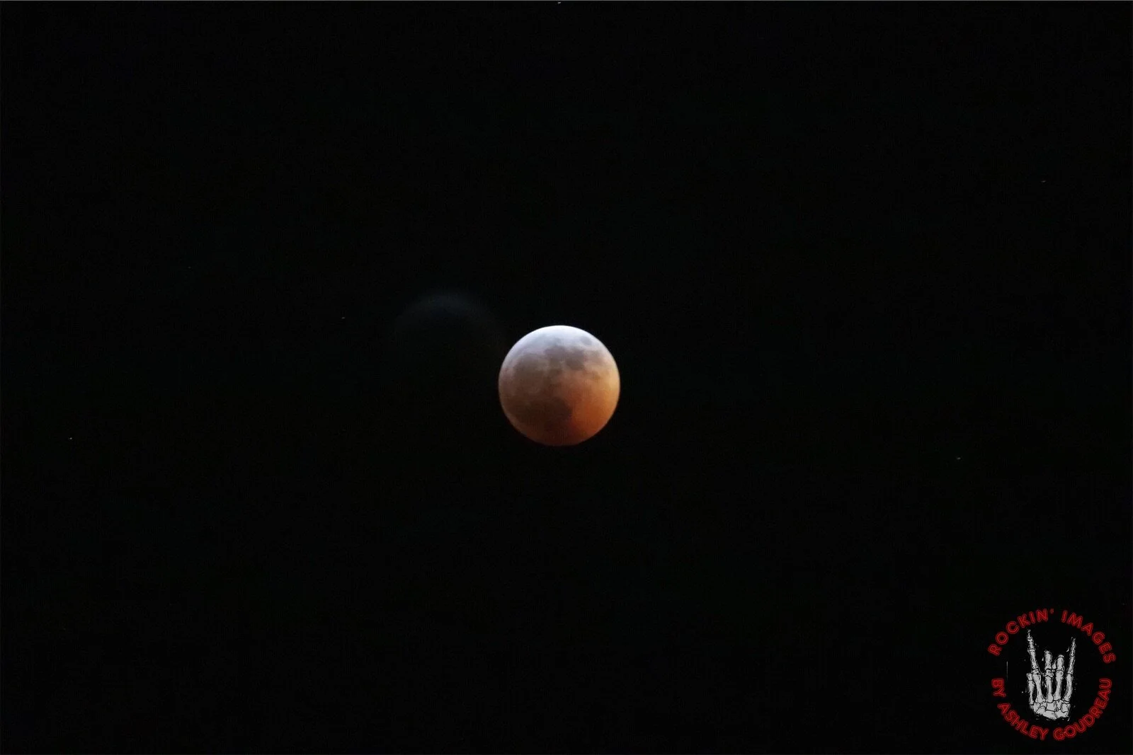 IMG_2746_eZy Watermark_20-01-2019_22-51-41.jpeg