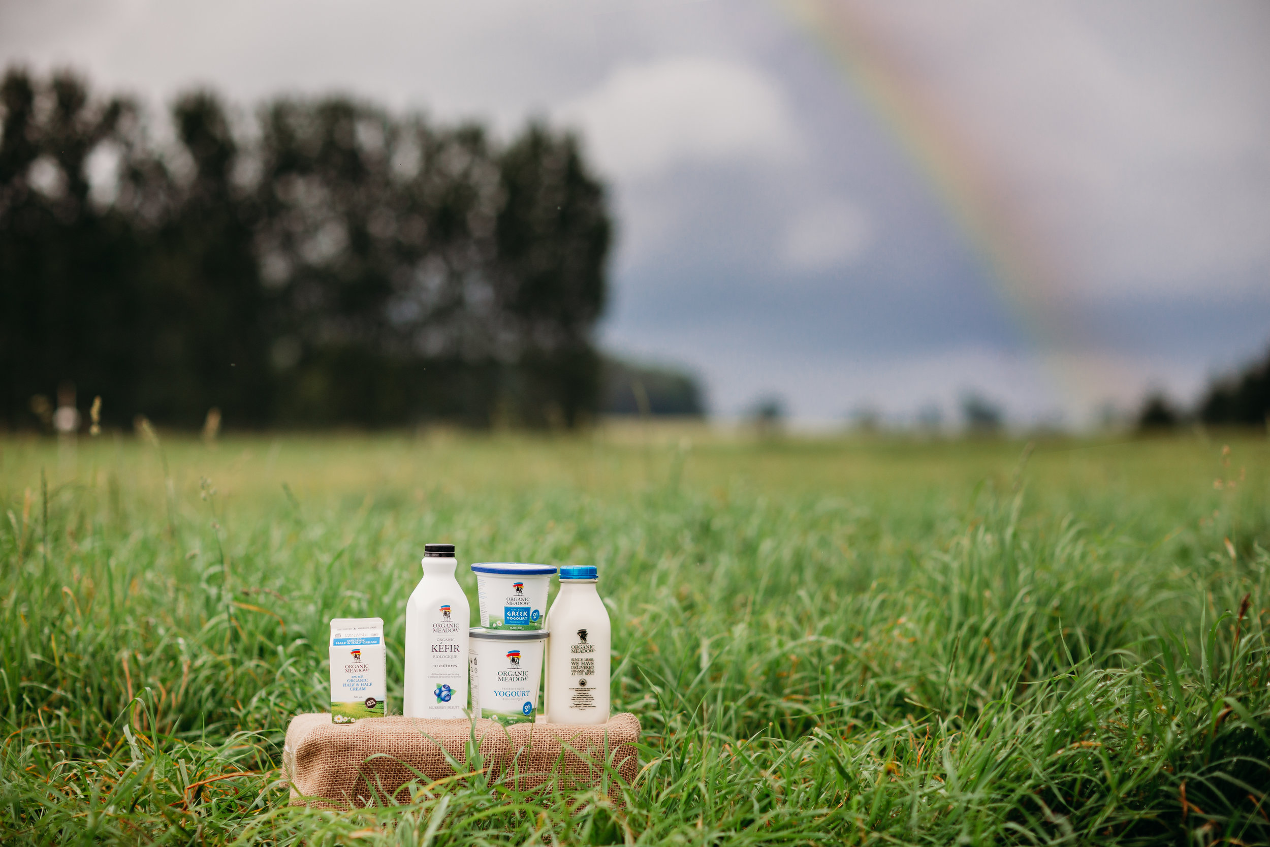 20190702_organicmeadow_059-Edit.jpg