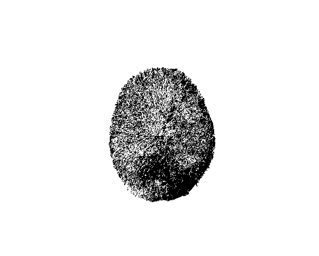 Tsenegah_gif.gif