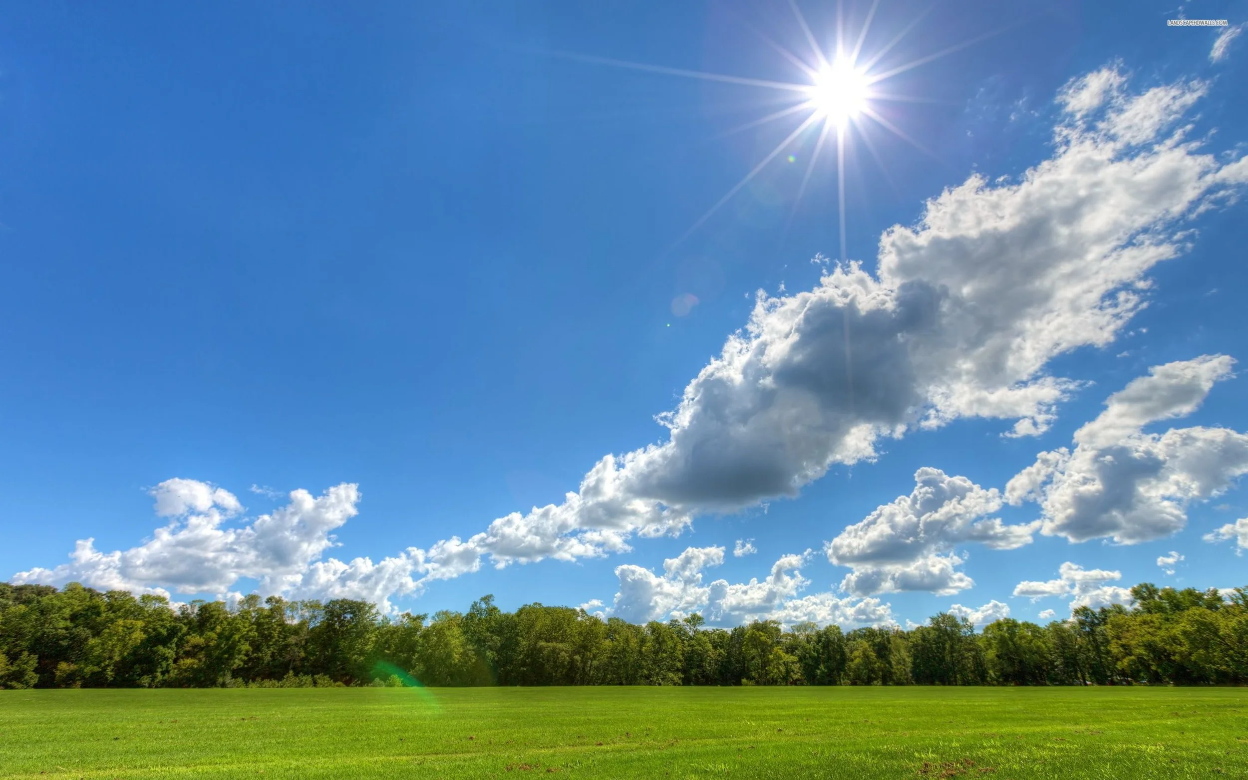 clear-sky-on-a-sunny-day-cloud-field-tree-nature-2560x1600-wallpaper452498.jpg
